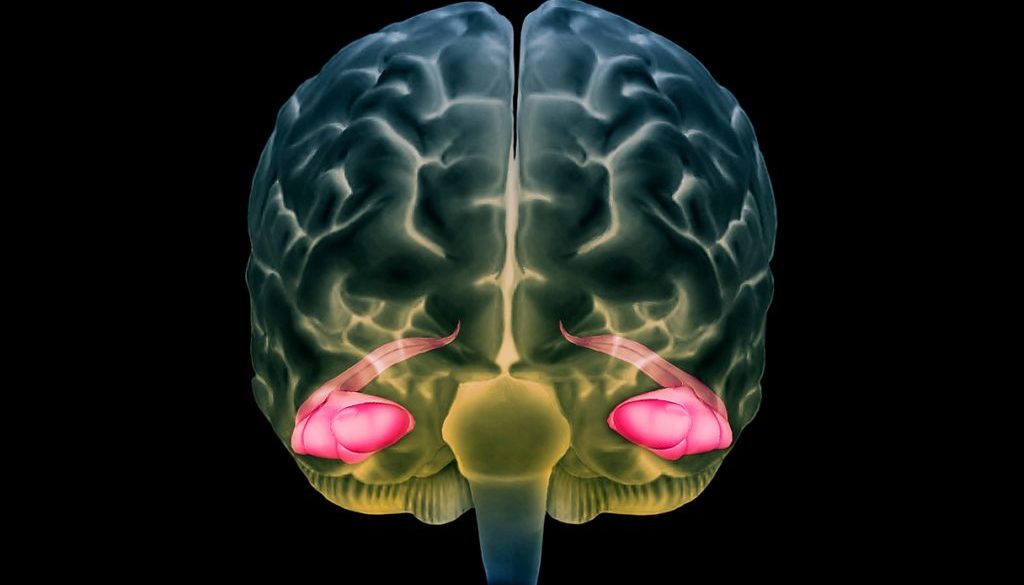 _20250703_on_neurons