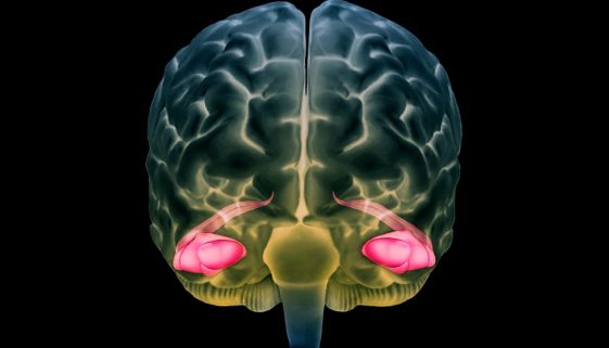 _20250703_on_neurons