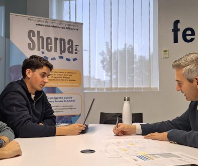 CONSULT ESTRAT Y MOD NEGOCIO-SHERPA 2025 (1)